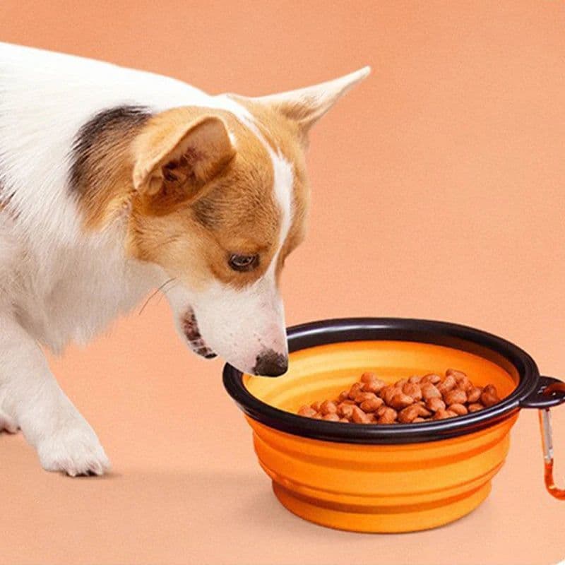 image-350ML/1000ML Portable Foldable Pet Bowl Dogs Cats Food Water Container for Outdoor Travel Portable Feeding Bowls Pets Prodcuts