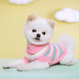 image-Puppy Cat Sweater Winter Warm Pet Clothes for Small Dogs Chihuahua Vest French Bulldog Knitted Sweater Schnauzer Kitten Costume