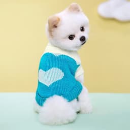 image-Puppy Cat Sweater Winter Warm Pet Clothes for Small Dogs Chihuahua Vest French Bulldog Knitted Sweater Schnauzer Kitten Costume