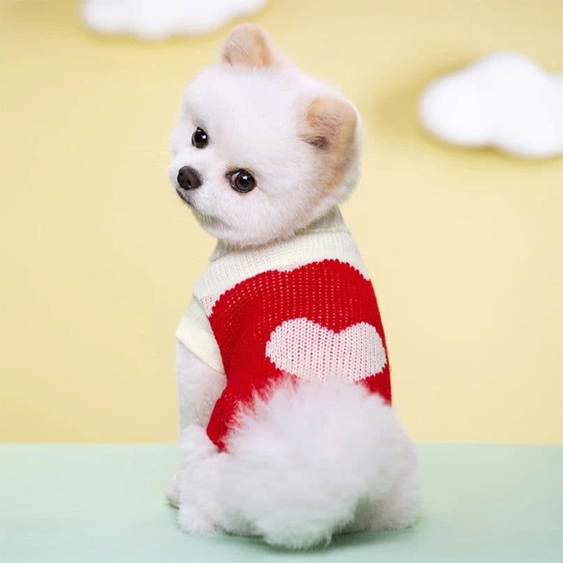image-Puppy Cat Sweater Winter Warm Pet Clothes for Small Dogs Chihuahua Vest French Bulldog Knitted Sweater Schnauzer Kitten Costume