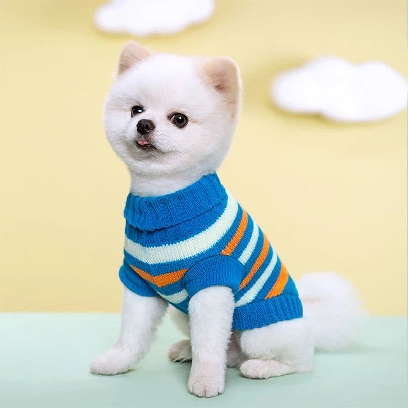 image-Puppy Cat Sweater Winter Warm Pet Clothes for Small Dogs Chihuahua Vest French Bulldog Knitted Sweater Schnauzer Kitten Costume