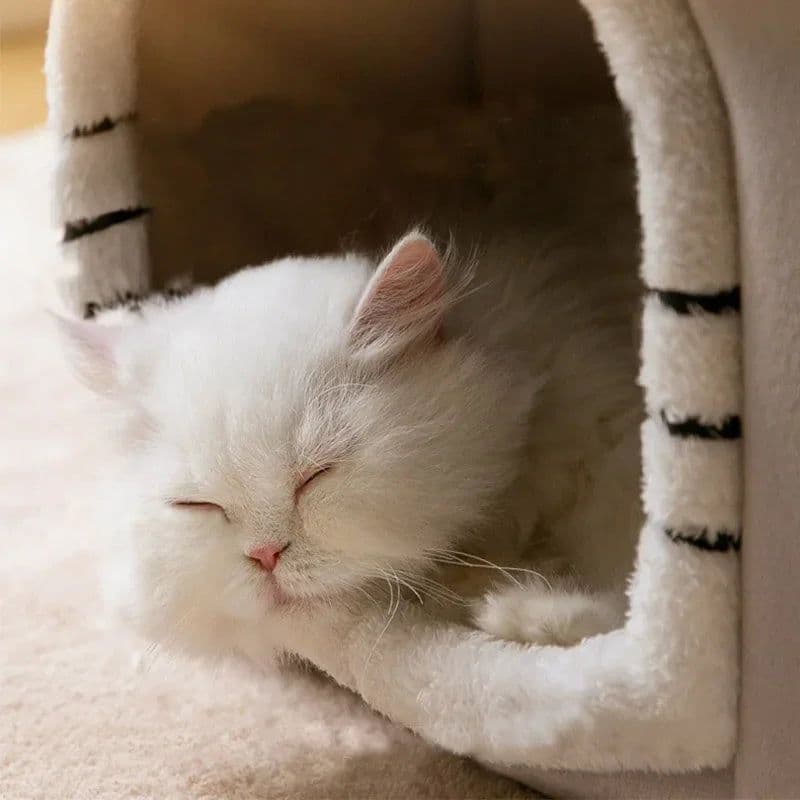 image-Foldable Cat House Winter Warm Chihuahua Cave Bed Cat Basket for Small Dogs Warm Soft Cat Bed Mat Kennel Puppy House Deep Sleep