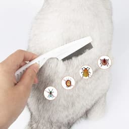 image-Pet Care Comb Protect Flea Comb for Cat Dog Pet Stainless Steel Comfort Flea Hair Grooming Comb