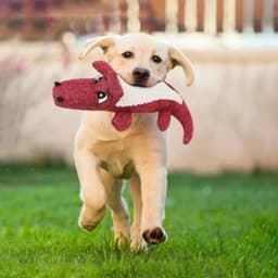 image-Dog Toy Plush Sound-Sounding Pet Toys Interactive Cartoon Animal Plush Toy Pet Supplies игрушки для собак