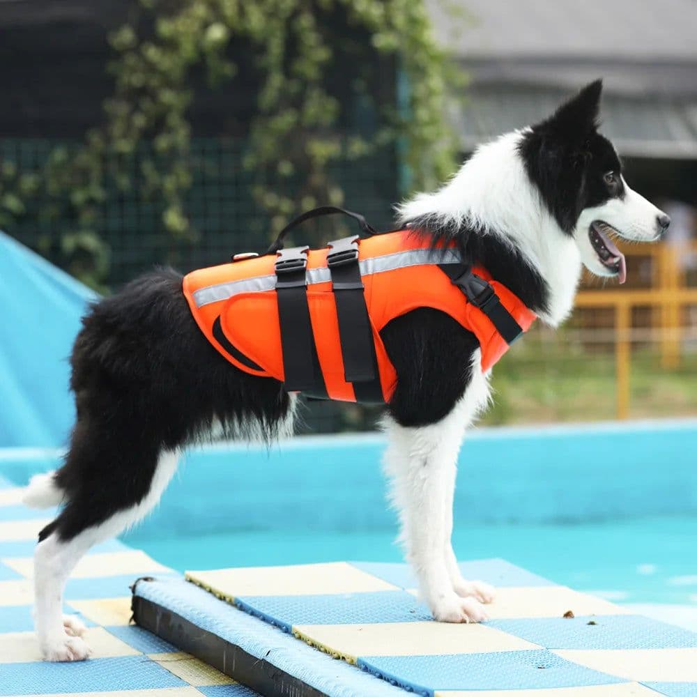 image-Dog Life Jacket Vests Outdoor Safety Clothes Big Dog Swimming Preserver Rescue Pet Life Vest Harness for Small Medium Large Dogs