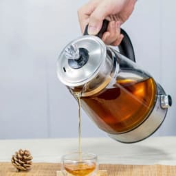 image-Teapots Electric Kettle Glass Water Kettle Smart Thermo Pot Coffee Water Boiler 220v Kitchen Appliances Tea Infuser