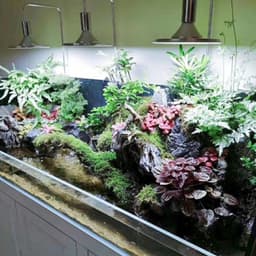 image-Aquarium LED Lights 20W/40W Aquatic Water Grass Plant Growth Lamp Turtle Reptile Lighting Clip-on Light for Fish Tank