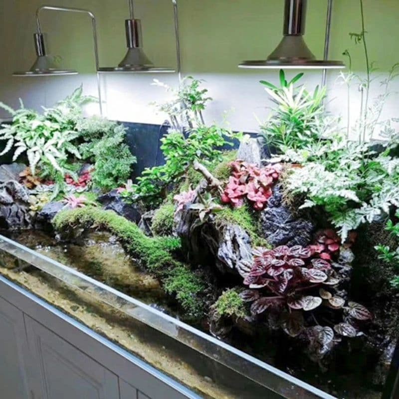 image-Aquarium LED Lights 20W/40W Aquatic Water Grass Plant Growth Lamp Turtle Reptile Lighting Clip-on Light for Fish Tank