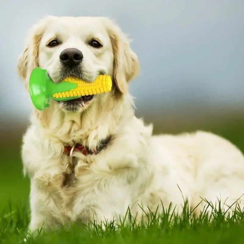 image-Pet Teething Toy for Aggressive Chewers Sounding Dog Chew Stick Corn Bite Resistant Pet Fun Squeak Toy Teething Cleaner Supplies