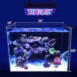 image-Dimmable LED Aquarium Lights 180W 140W Fish Tank Light For Freshwater Saltwater Aquarium Marine Reef Coral Lighting Decoration