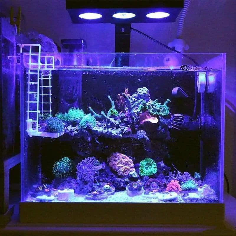 image-Spectra Nano 029 Aquarium Light 30W 40W Saltwater Lighting with Touch Control for Coral Reef Fish Tank Mobile WIFI Control
