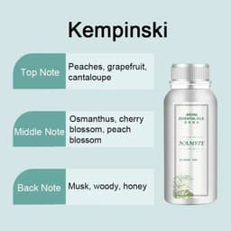 image-500ML Air Freshener Essential Oil Diffuser Refill Air Purifier for Hotels Electric Aromatic Oasis Humidifier Car Smoke Generator