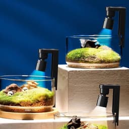 image-Mini Aquarium Light Clip Clamp USB Aquarium Light 360° Rotation Lighting Landscape Lamps For Small Fish Freshwater Planted Tank