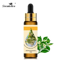 image-10ml Pure Fruit Flower Aroma Fragrance Essential Oil for Candle Soap Making Strawberry Mango Passion Musk Coconut with Dropper