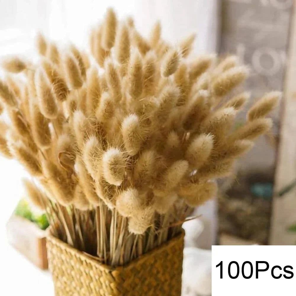 image-100Pcs Fluffy Pampas Dried Flowers Bouquet Home Decor Natural Bunny Rabbit Tail Grass Artifical Flower Wedding Party Decoration
