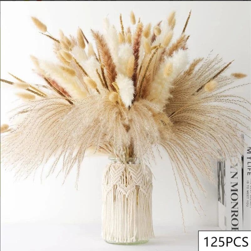 image-100Pcs Fluffy Pampas Dried Flowers Bouquet Home Decor Natural Bunny Rabbit Tail Grass Artifical Flower Wedding Party Decoration