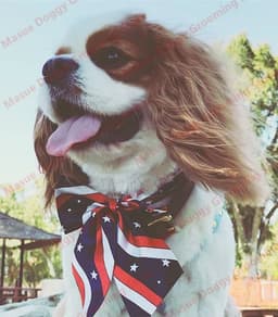 image-Bulk Dog Bow Tie For Big Dog Bowties Neckties Big Bowties Pets Products For Dog Wedding Supplies Dog Accessories For Small Dogs