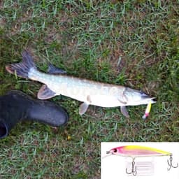 image-1PCS Laser Minnow Fishing Lure 11CM 13G pesca hooks fish wobbler tackle crankbait artificial japan hard bait swimbait