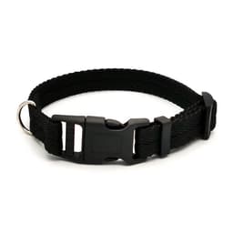 image-Nylon Webbing Dog Collar Fashion Buckle Pet Collar for Small Medium Dogs Chihuahua Dog Red Black Blue Orange Pet Accessory