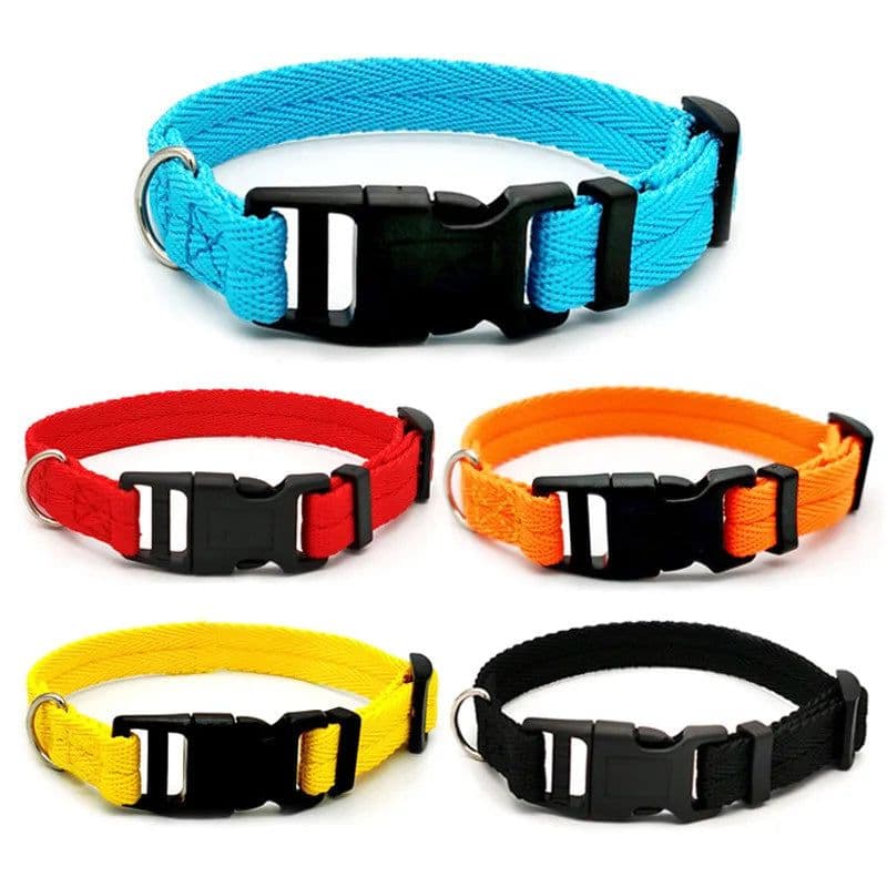 image-Nylon Webbing Dog Collar Fashion Buckle Pet Collar for Small Medium Dogs Chihuahua Dog Red Black Blue Orange Pet Accessory