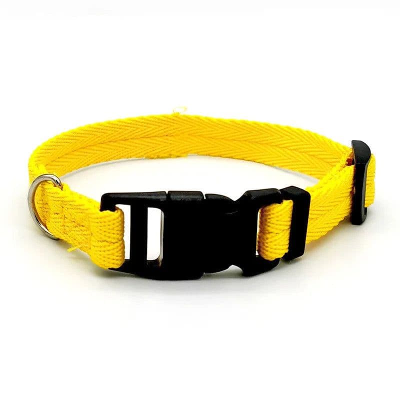 image-Nylon Webbing Dog Collar Fashion Buckle Pet Collar for Small Medium Dogs Chihuahua Dog Red Black Blue Orange Pet Accessory