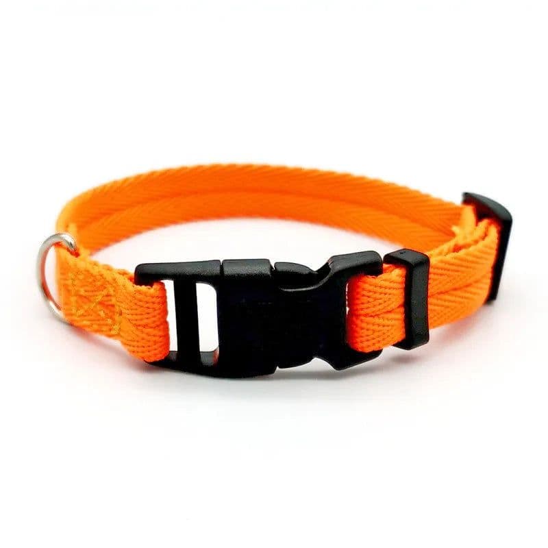 image-Nylon Webbing Dog Collar Fashion Buckle Pet Collar for Small Medium Dogs Chihuahua Dog Red Black Blue Orange Pet Accessory