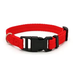 image-Nylon Webbing Dog Collar Fashion Buckle Pet Collar for Small Medium Dogs Chihuahua Dog Red Black Blue Orange Pet Accessory