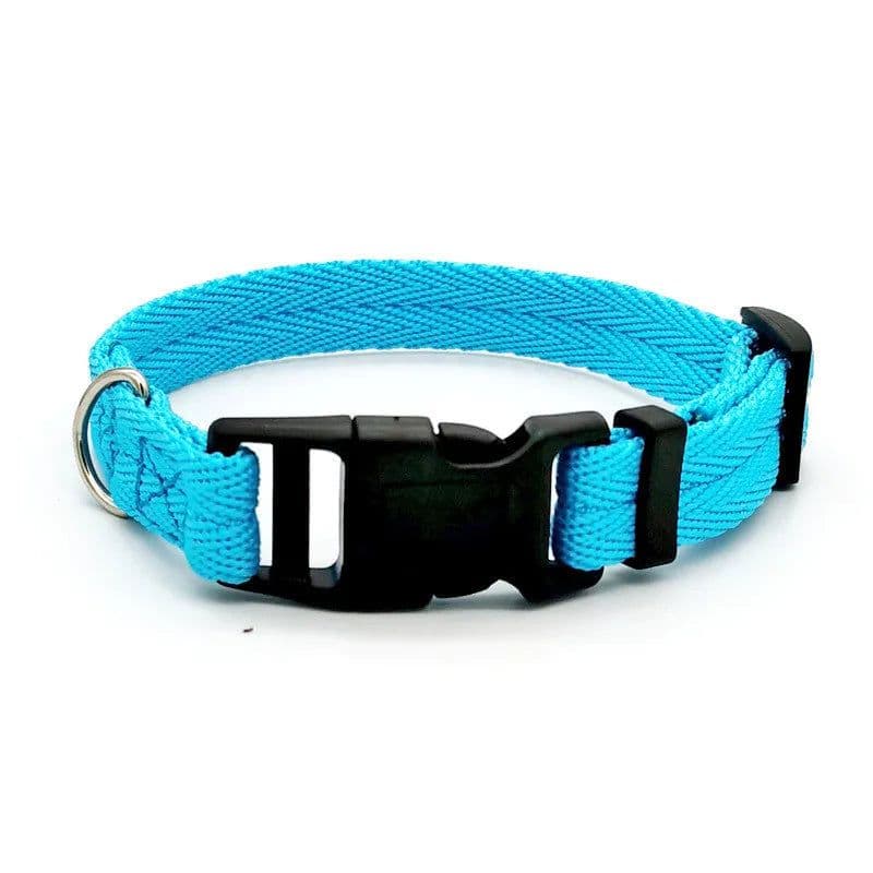 image-Nylon Webbing Dog Collar Fashion Buckle Pet Collar for Small Medium Dogs Chihuahua Dog Red Black Blue Orange Pet Accessory