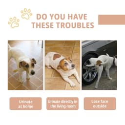 image-Pet Defecation Inducer Spray Positioning Defecation Indoor Outdoor Cat Potty Urinate Trainer Liquid Dog Toilet Training Spray