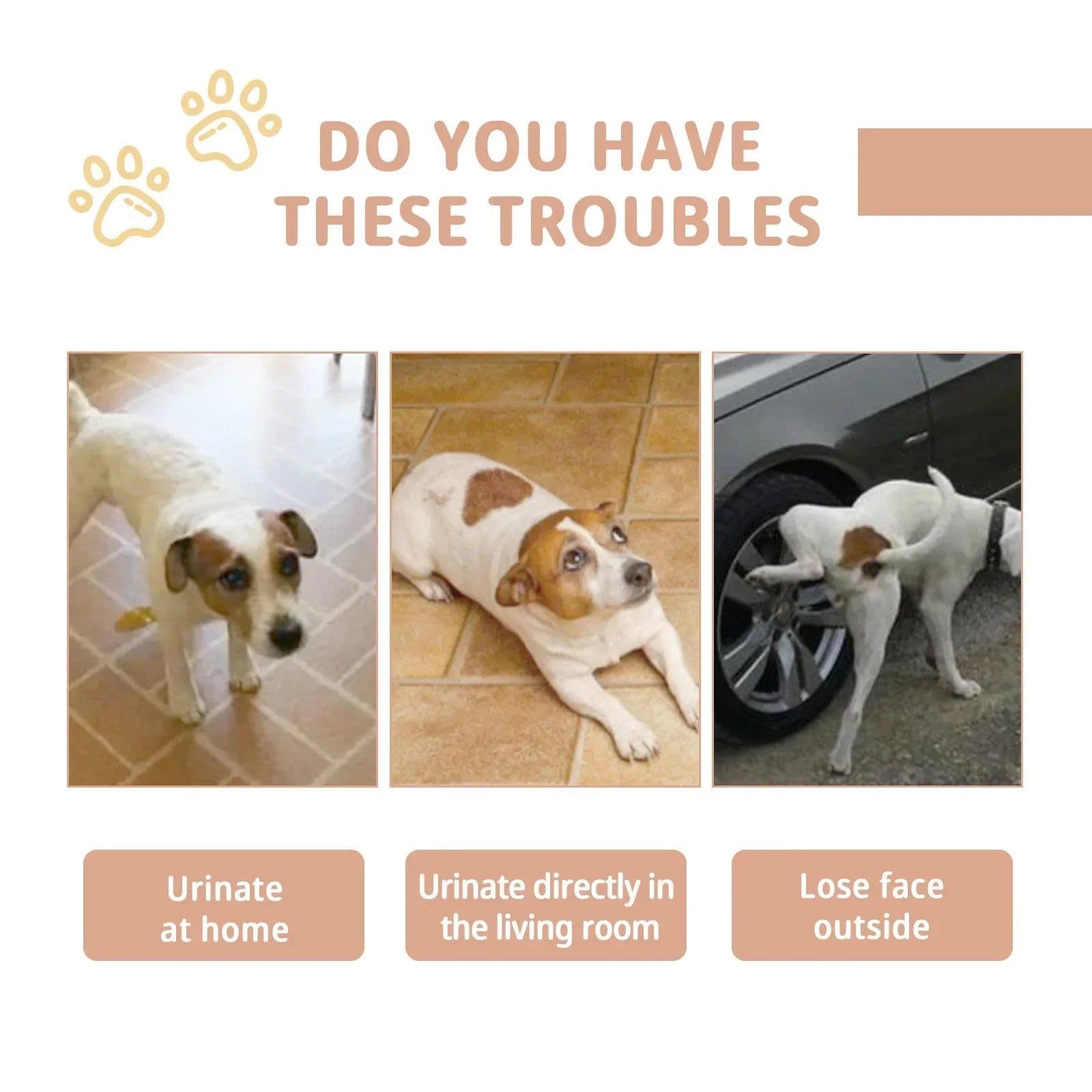 image-Pet Defecation Inducer Spray Positioning Defecation Indoor Outdoor Cat Potty Urinate Trainer Liquid Dog Toilet Training Spray