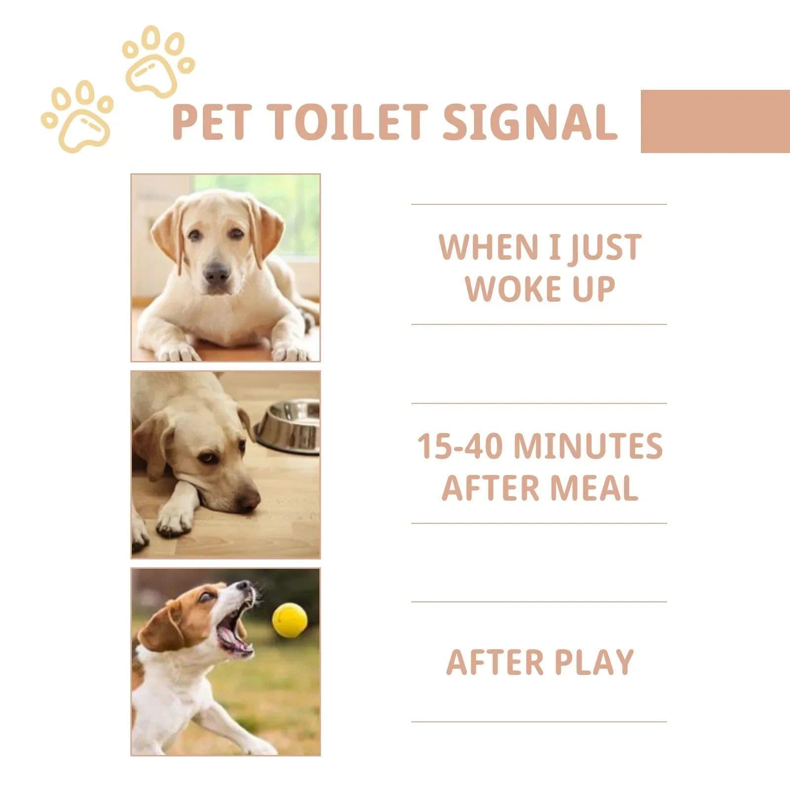 image-Pet Defecation Inducer Spray Positioning Defecation Indoor Outdoor Cat Potty Urinate Trainer Liquid Dog Toilet Training Spray