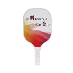 image-USAPA Approved Carbon Fiber Pickleball Paddles Set Pickle Ball Paddle Honeycomb Core Anti Slip Sweat Absorb Grip Padel for Adult