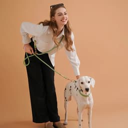 image-Hands-free Dogs Lead Rope New Fashion Multi-function Pet Leashes For Small medium and large dogs Outdoor Running walking 10 in 1