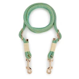 image-Hands-free Dogs Lead Rope New Fashion Multi-function Pet Leashes For Small medium and large dogs Outdoor Running walking 10 in 1
