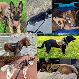 image-Tactical Militar Dog Harness for Large Dog Harness with Rope Reflective Dog Harness with Handle Labrador Retriever Chest Clothes
