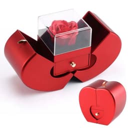 image-Dropshipping Christmas Gift Red Apple Jewelry Box Necklace Eternal Rose for Girl Mother's Day New Year Valentine's Day Gifts