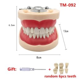image-Resin Dental Model Training Typodont Teeth Model For Dental Technician Practice Teaching Gum Teeth Jaw Model Dentistry Equipment