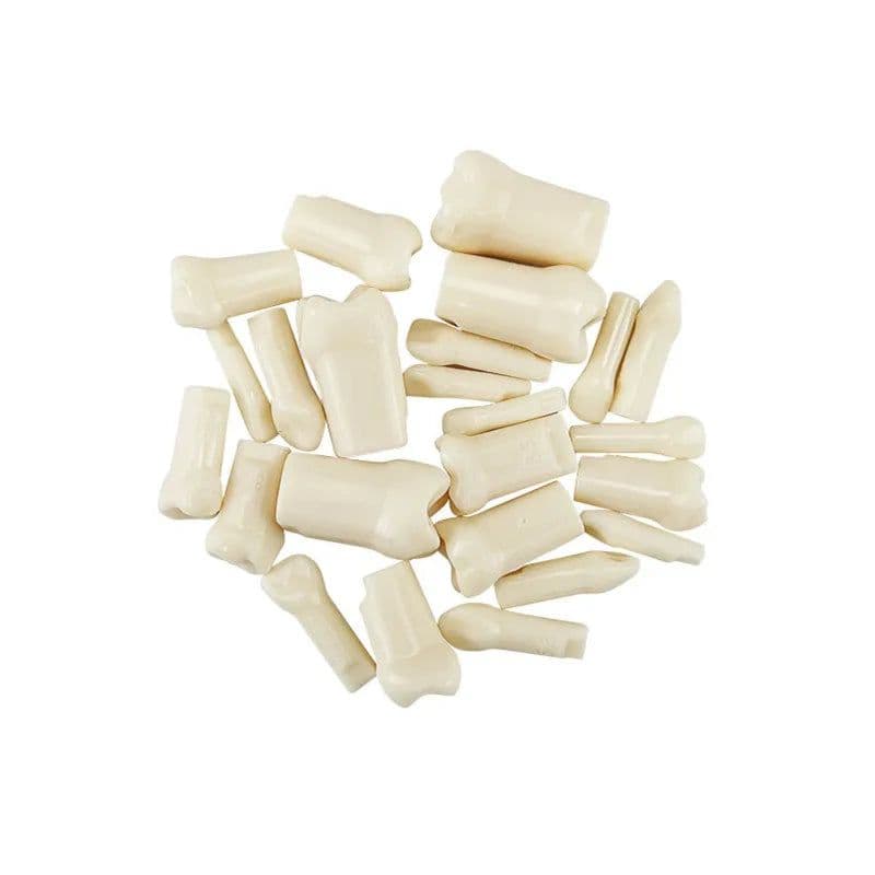 image-Resin Dental Model Training Typodont Teeth Model For Dental Technician Practice Teaching Gum Teeth Jaw Model Dentistry Equipment