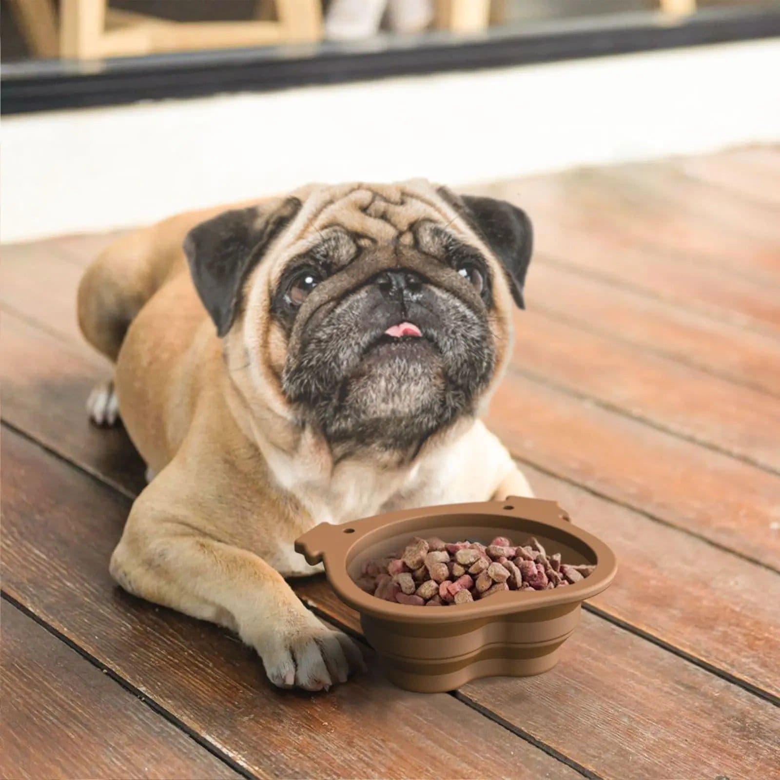 image-600ml Large Collapsible Dog Pet Folding Silicone Bowl Outdoor Travel Portable Puppy Food Container Feeder Dish Bowl