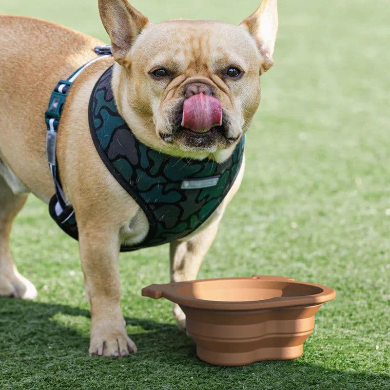 image-600ml Large Collapsible Dog Pet Folding Silicone Bowl Outdoor Travel Portable Puppy Food Container Feeder Dish Bowl