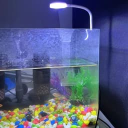 image-5V USB Power Mini LED Fish Tank Lamp 3W Energy-saving For Small Size Fish Tank Anti-splash Water Clip Lamp Fish Tank Lighting