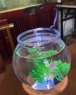image-5V USB Power Mini LED Fish Tank Lamp 3W Energy-saving For Small Size Fish Tank Anti-splash Water Clip Lamp Fish Tank Lighting