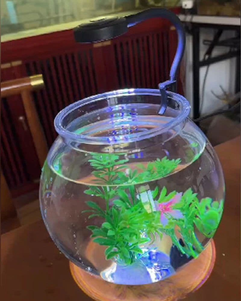image-5V USB Power Mini LED Fish Tank Lamp 3W Energy-saving For Small Size Fish Tank Anti-splash Water Clip Lamp Fish Tank Lighting