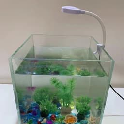 image-5V USB Power Mini LED Fish Tank Lamp 3W Energy-saving For Small Size Fish Tank Anti-splash Water Clip Lamp Fish Tank Lighting