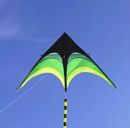 image-Free shipping large delta kites flying toys for children kites handle line outdoor sports kites nylon professional wind kites