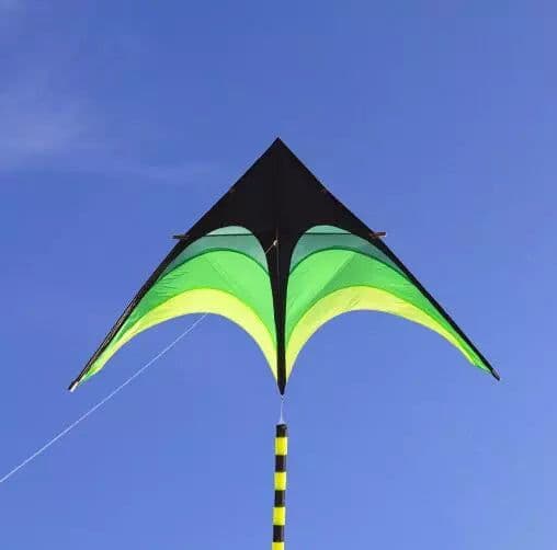 image-Free shipping large delta kites flying toys for children kites handle line outdoor sports kites nylon professional wind kites
