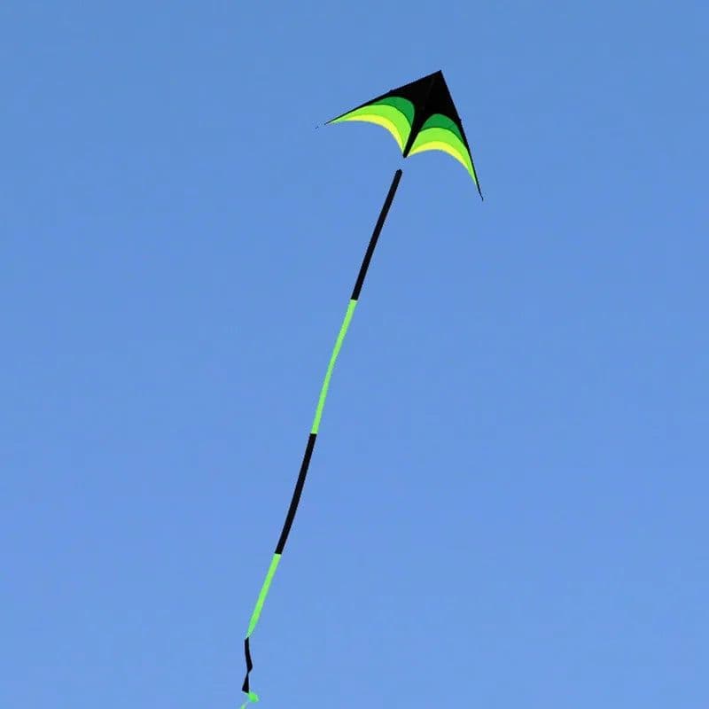 image-Free shipping large delta kites flying toys for children kites handle line outdoor sports kites nylon professional wind kites