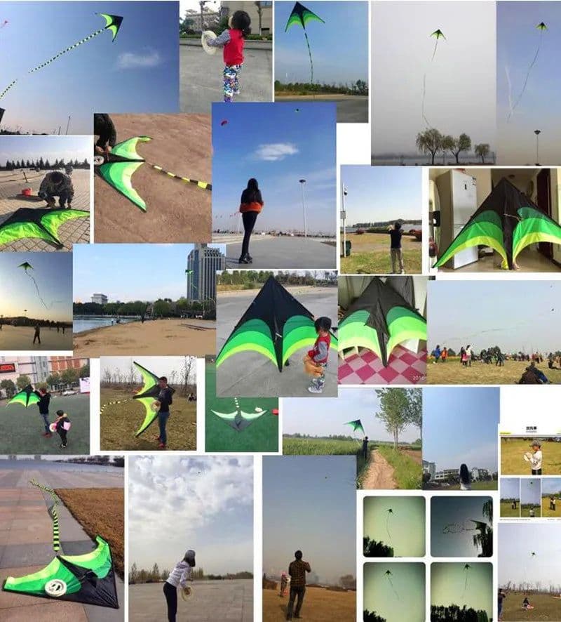 image-Free shipping large delta kites flying toys for children kites handle line outdoor sports kites nylon professional wind kites