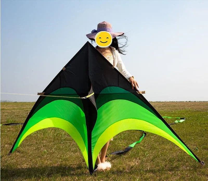 image-Free shipping large delta kites flying toys for children kites handle line outdoor sports kites nylon professional wind kites