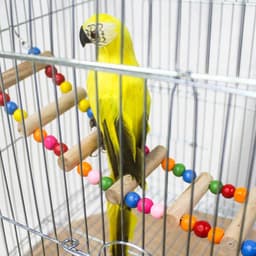 image-L Size 10 Ladder Pet Birds Swing Wooden Bridge Ladder Climb Cockatiel Parakeet Budgie Parrot Toy Wood Ladder